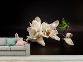 photo-wallpaper-magnolia