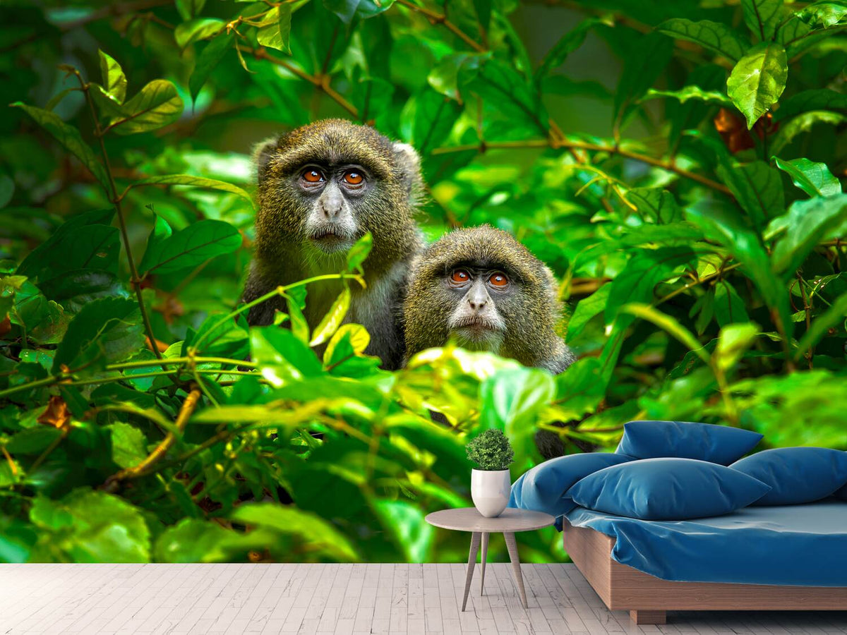 photo-wallpaper-blue-monkey-x