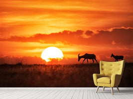 photo-wallpaper-sun-rise-x