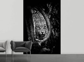 photo-wallpaper-leopards-lair