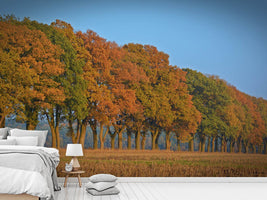 photo-wallpaper-beautiful-autumn