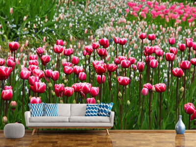 photo-wallpaper-wild-tulip-field