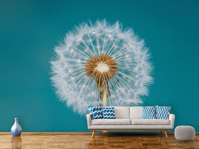 photo-wallpaper-dandelion-a