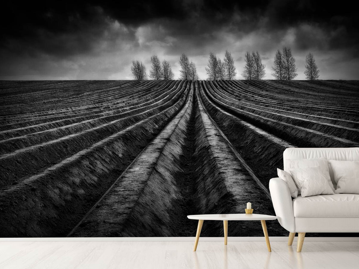 photo-wallpaper-flanders-fields-iii-x