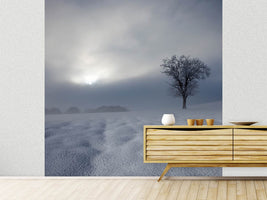 photo-wallpaper-winter-impression