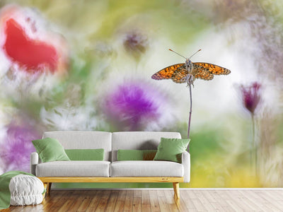 photo-wallpaper-colour-splashes-x