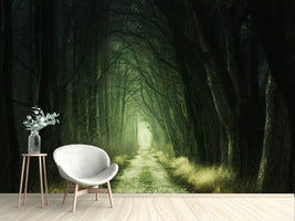 photo-wallpaper-mysterious-forest-iii