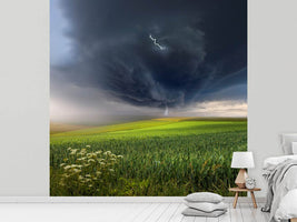 photo-wallpaper-june-storm