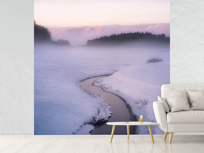 photo-wallpaper-winters-mystique