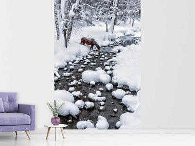 photo-wallpaper-drinking-in-snow