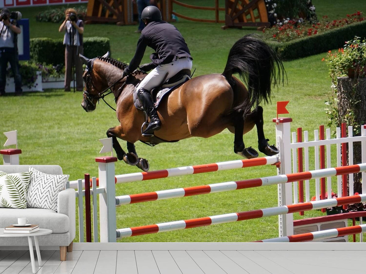 photo-wallpaper-the-show-jumper