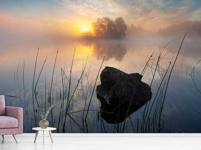 photo-wallpaper-tranquil-morning-x