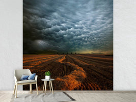 photo-wallpaper-mammatus