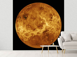 photo-wallpaper-the-venus