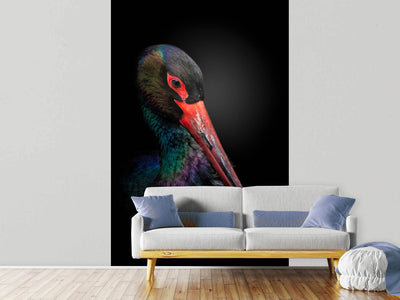 photo-wallpaper-the-black-stork