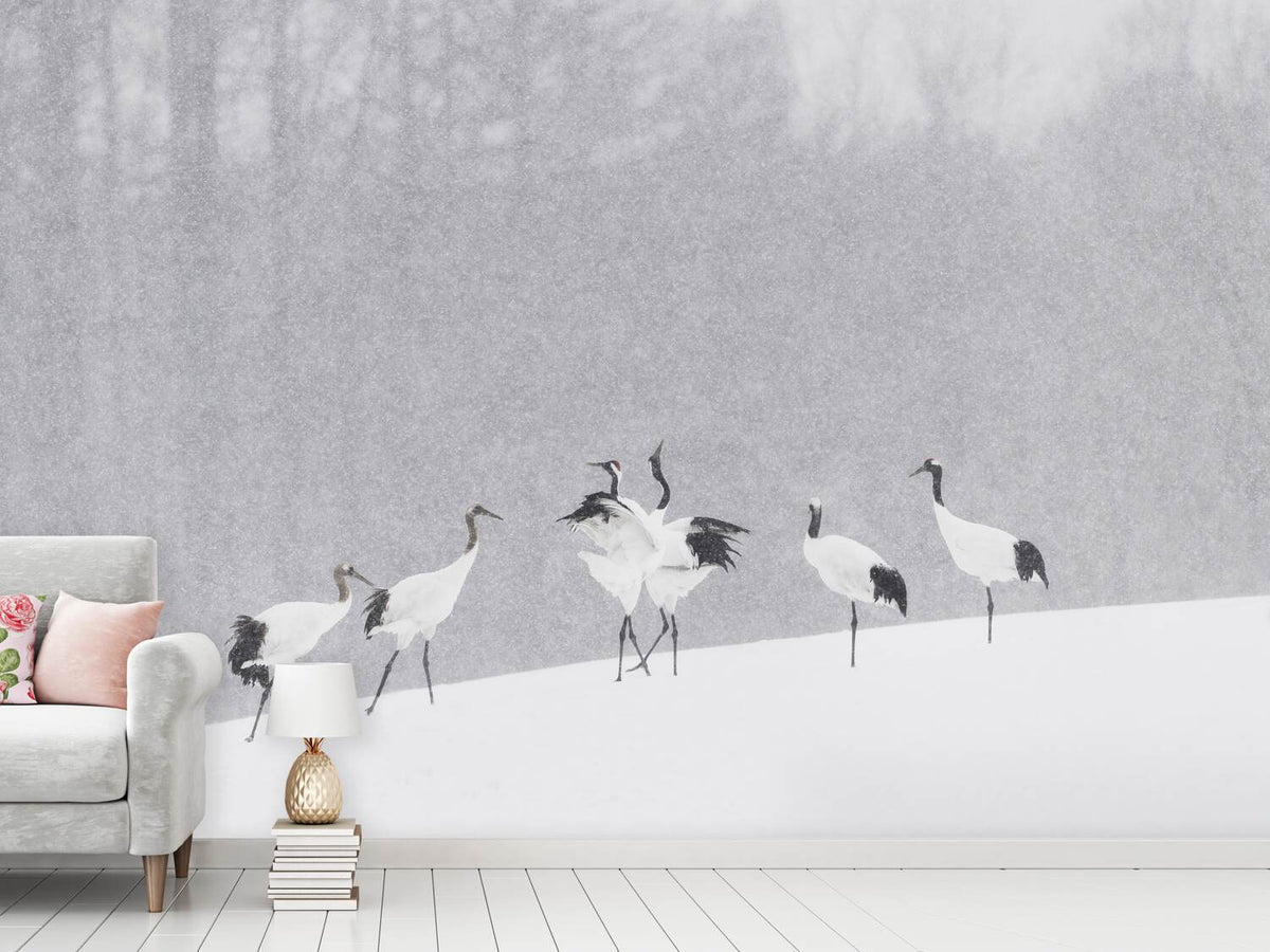 photo-wallpaper-japanese-cranes-x