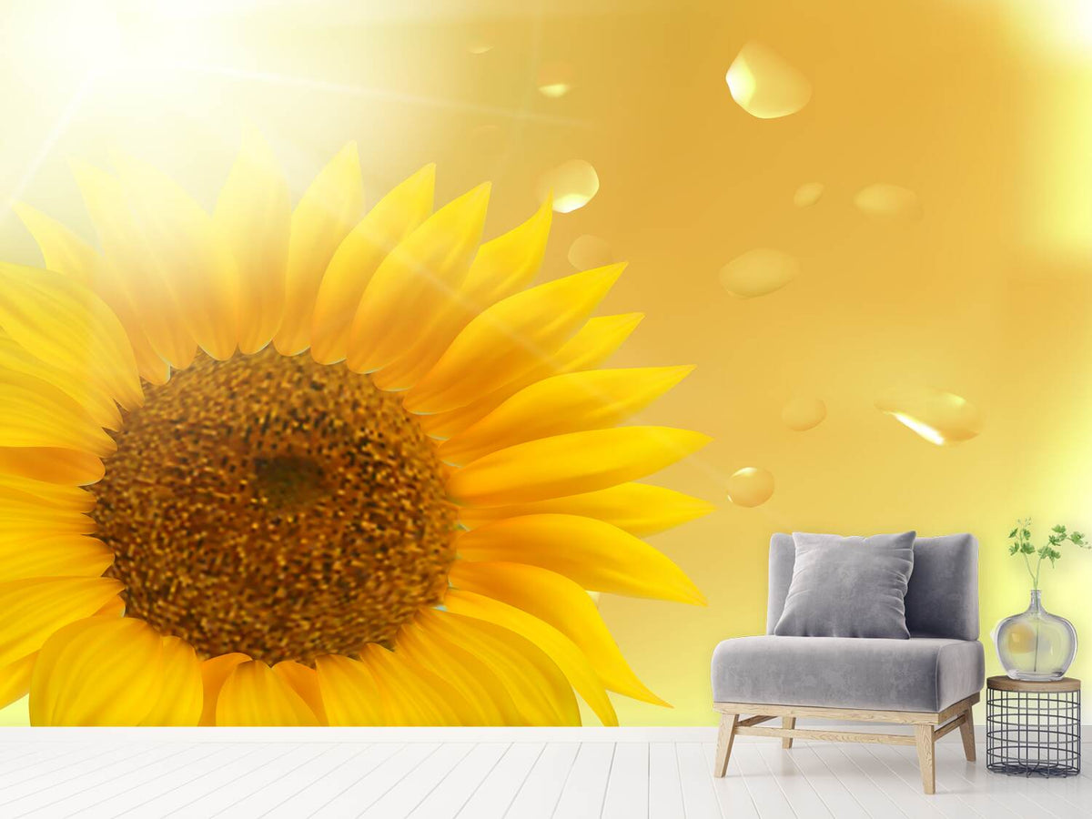 photo-wallpaper-sunflower-in-morning-dew