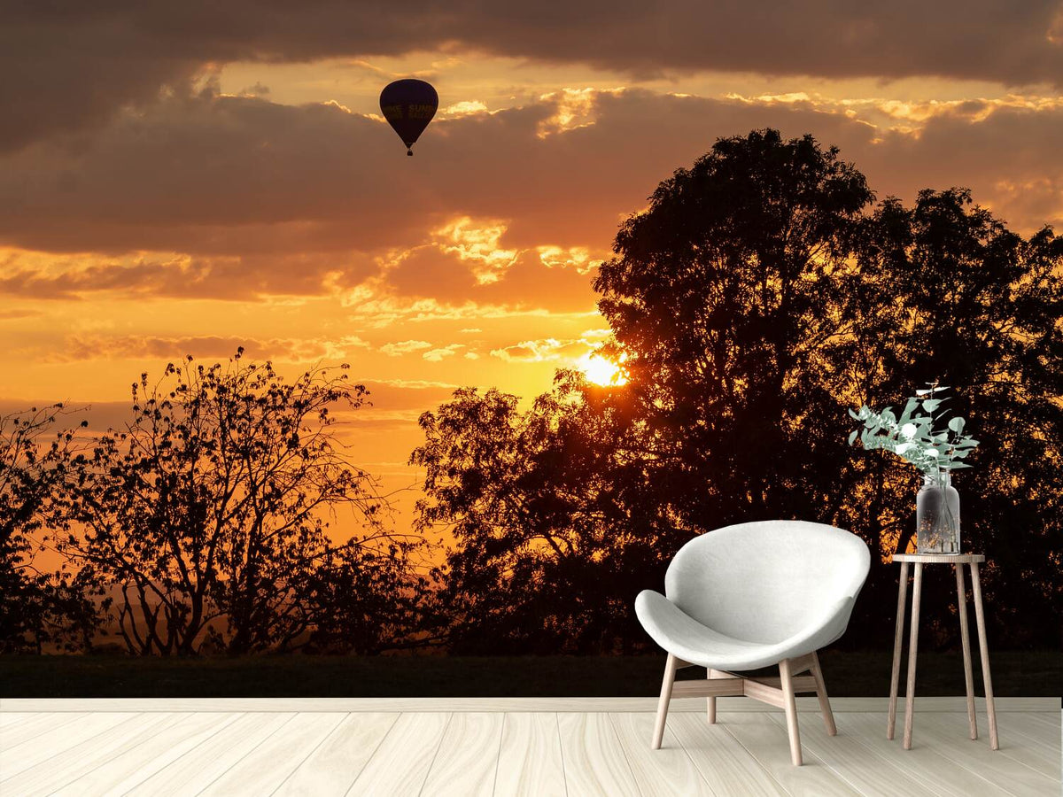 photo-wallpaper-towards-the-sun-with-the-hot-air-balloon