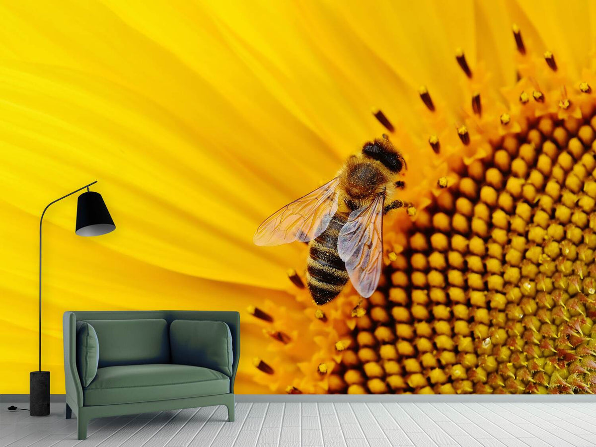 photo-wallpaper-bee-on-the-sunflower