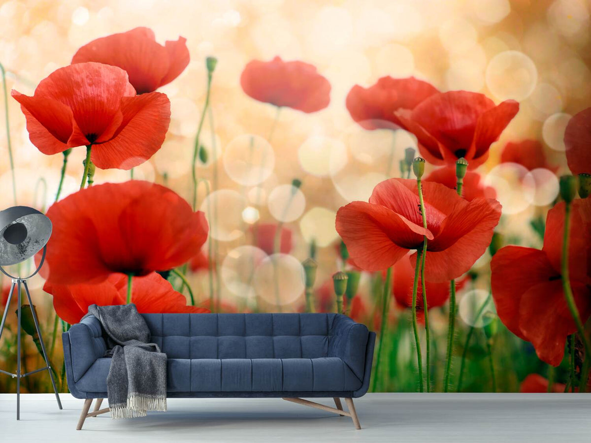 photo-wallpaper-the-poppy