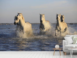 photo-wallpaper-horses-in-the-sea