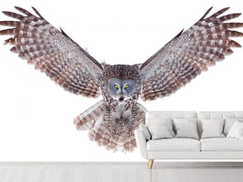 photo-wallpaper-power-great-grey-owl