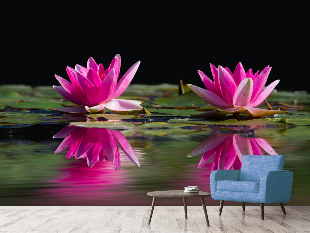 photo-wallpaper-water-lilies-duo-in-pink