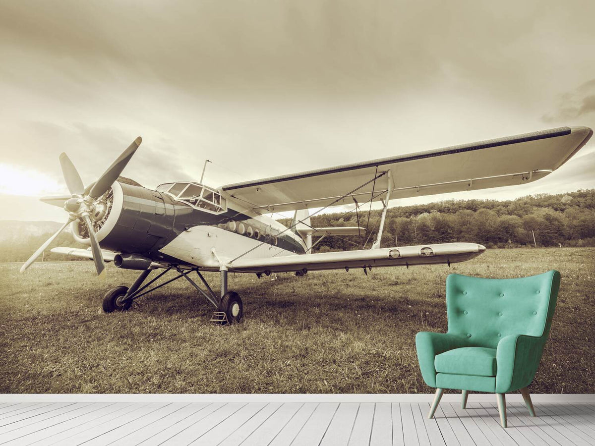 photo-wallpaper-nostalgic-aircraft-in-retro-style