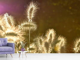 photo-wallpaper-the-ornamental-grass