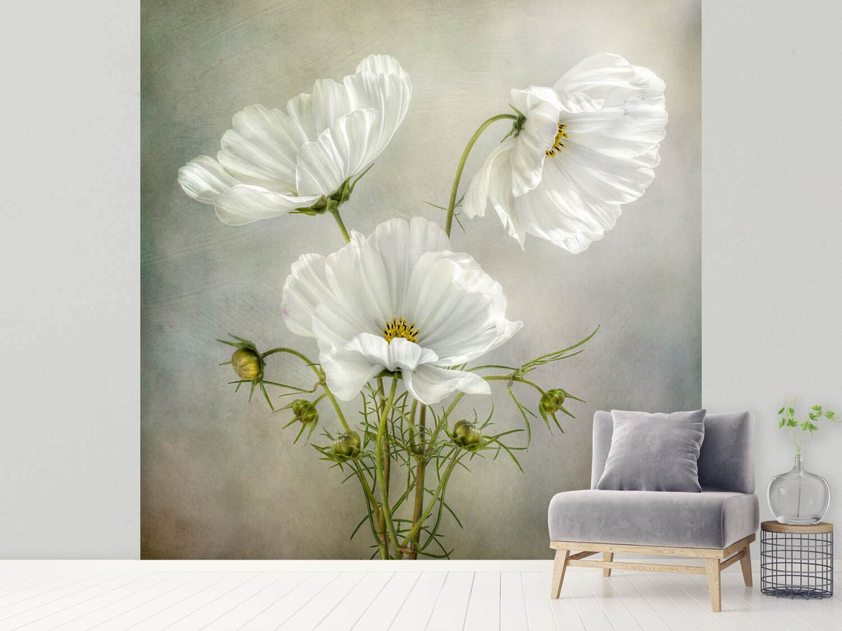 photo-wallpaper-cosmos-charm