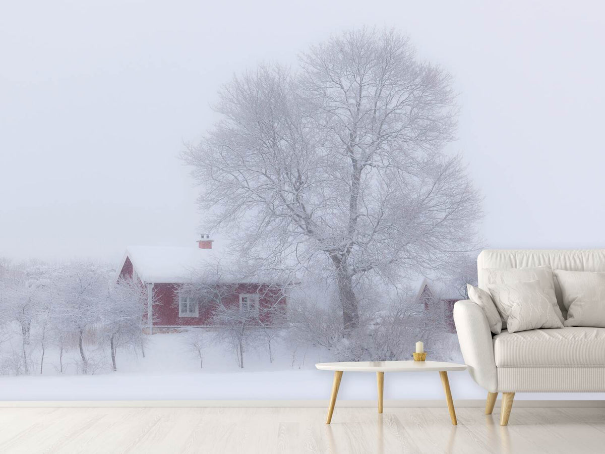 photo-wallpaper-winter-idyll-x