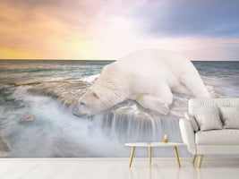 photo-wallpaper-the-polar-bear-and-the-sea