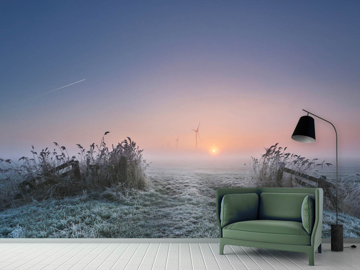 photo-wallpaper-frosty-morning-xaa