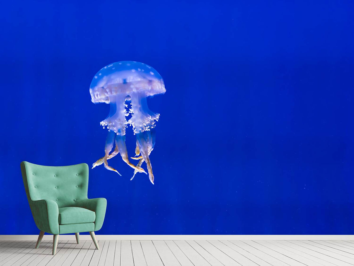 photo-wallpaper-glowing-jellyfish