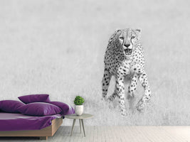 photo-wallpaper-cheetah-x