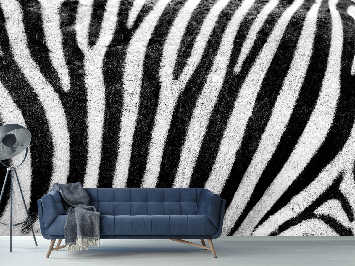 photo-wallpaper-strip-of-the-zebra