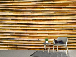 photo-wallpaper-horizontal-bamboo-wall