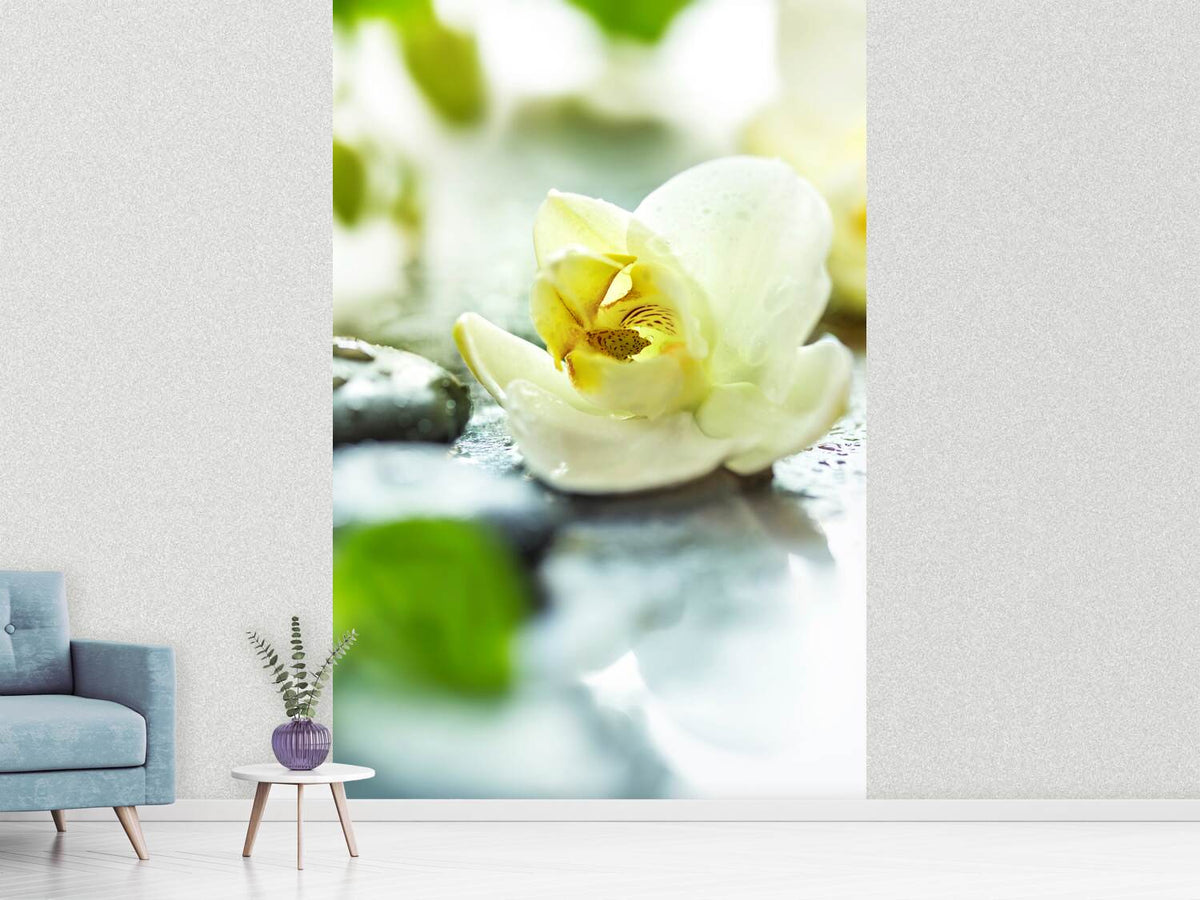 photo-wallpaper-zen-orchid