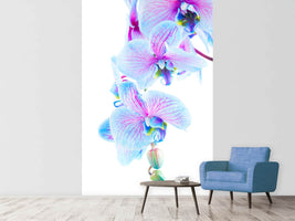 photo-wallpaper-orchid-butterfly