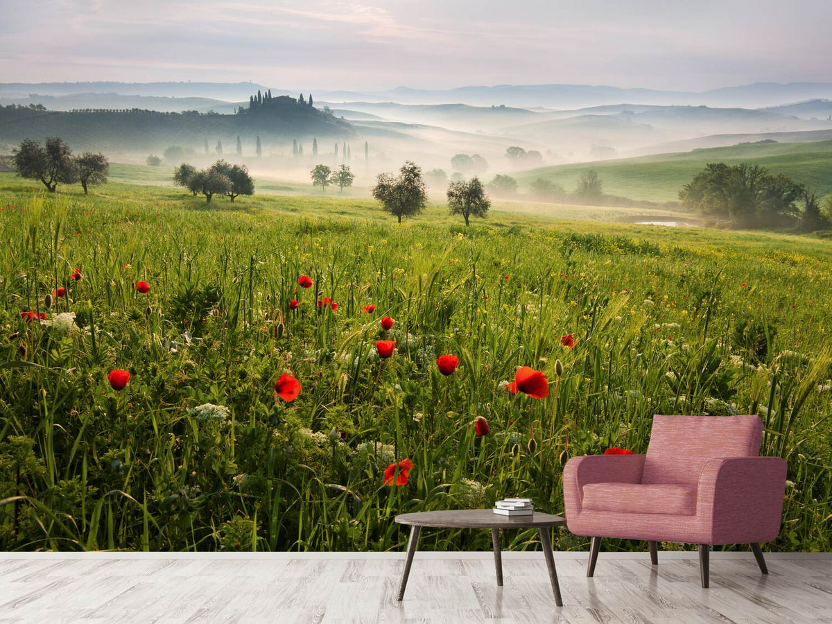 photo-wallpaper-tuscan-spring