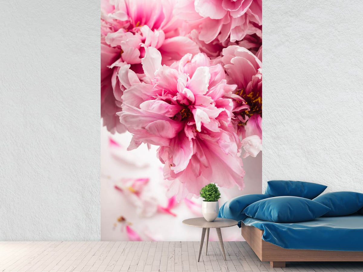 photo-wallpaper-peonies