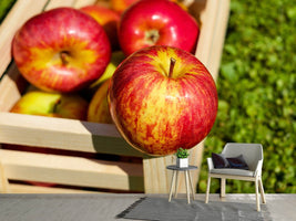 photo-wallpaper-box-of-apples