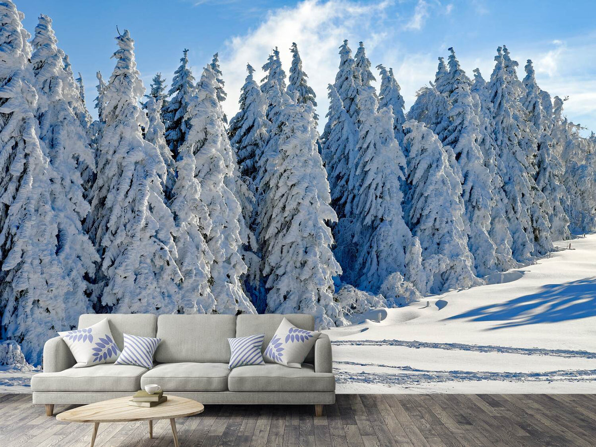 photo-wallpaper-beautiful-winter-landscape