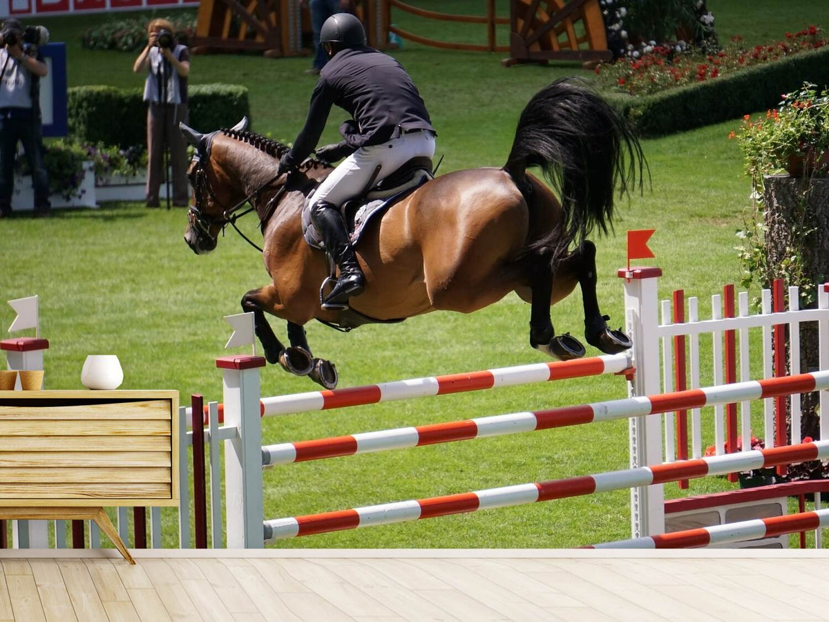 photo-wallpaper-the-show-jumper