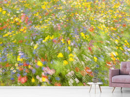 photo-wallpaper-summer-field-flowers-x