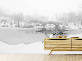 photo-wallpaper-the-first-snow-of-central-park-x