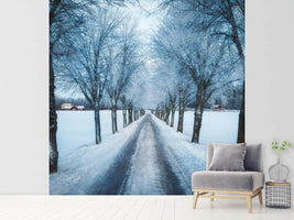 photo-wallpaper-swedish-winter-x