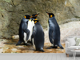 photo-wallpaper-king-penguins