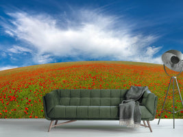 photo-wallpaper-red-poppies