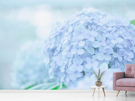 photo-wallpaper-the-hydrangea